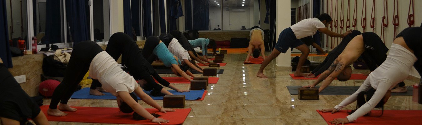 200 hour yoga teacher training in rishikesh